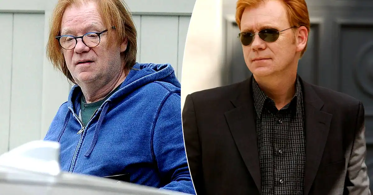 david caruso ehepartnerin